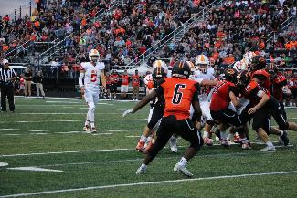 September 6 2019 IMG_5902291